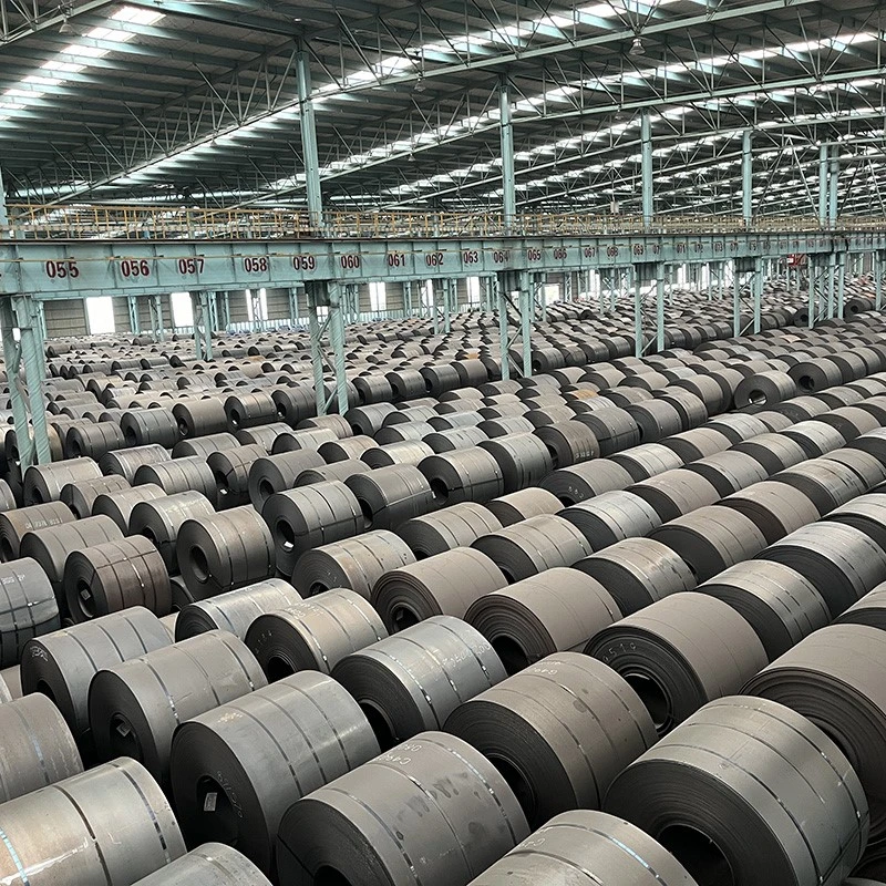 product-800-800
